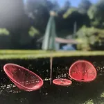 Caserio Urikosolo