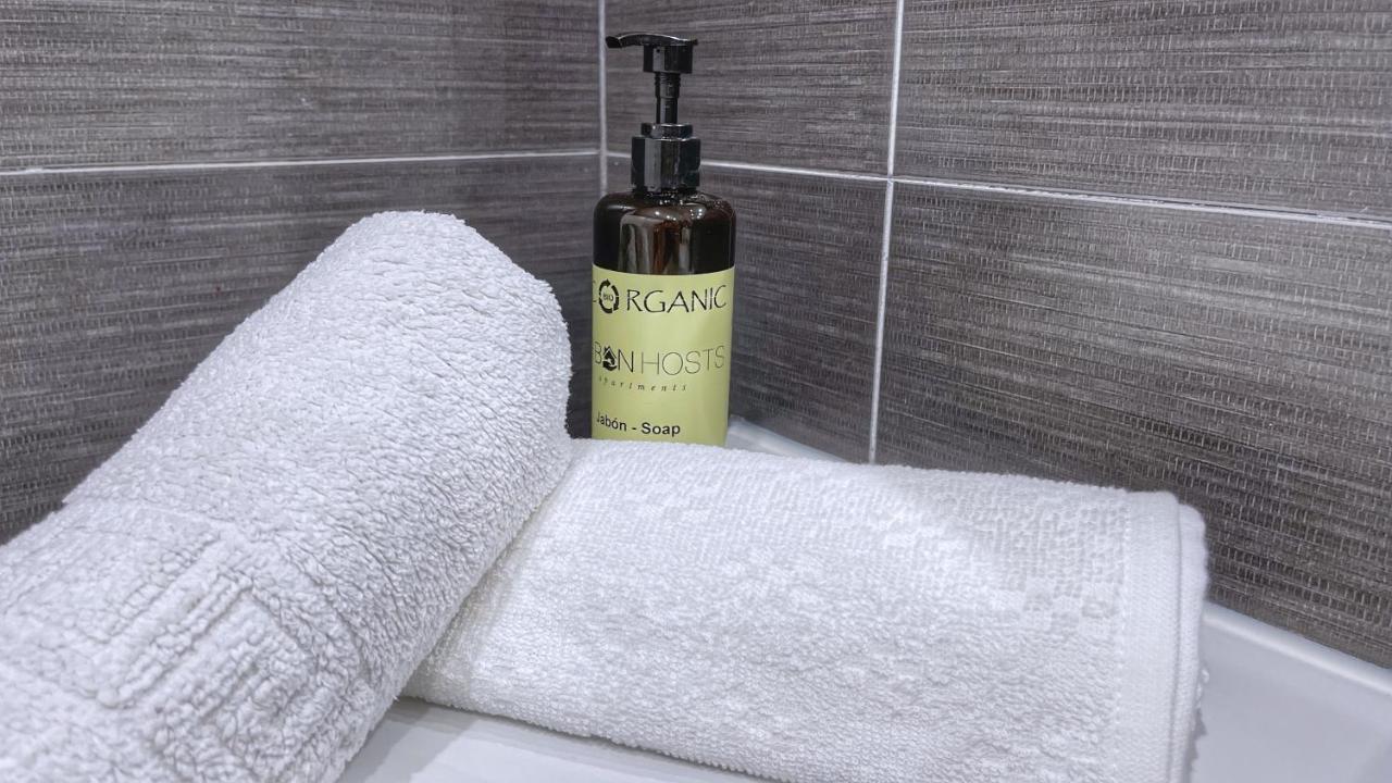 Vt Flat Reformado Con Escritorio De Trabajo Y Wifi * Bilbao