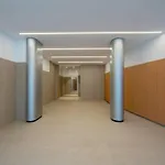 Goizeder Apartment By People Rentals