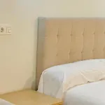 Apartamentos Lidar