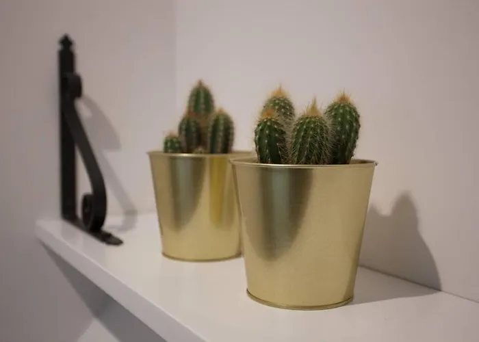 Bonito Apartamento, Nuevo Y En El Casco Viejo!!!