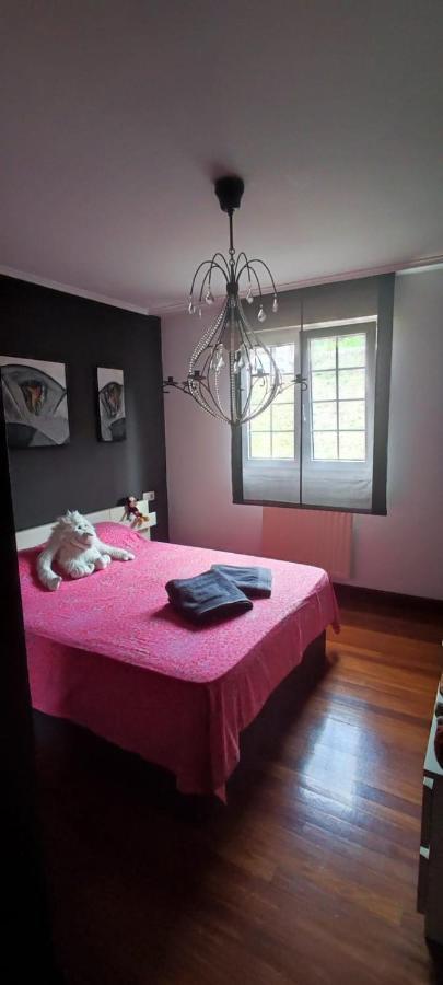 Nala House, Acogedor,bien Comunicado,aparcamiento Gratis En La Calle