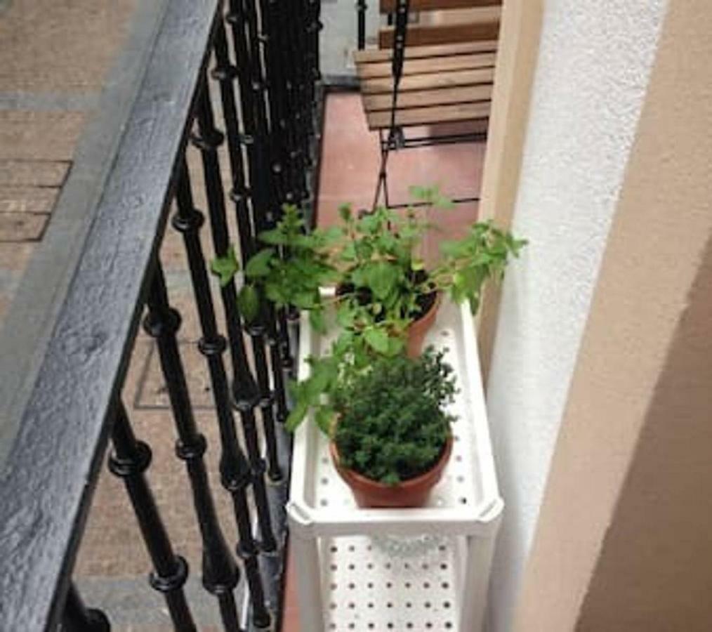 Apartamento En Carniceria Vieja Apartment *